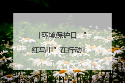 环境保护日 “红马甲”在行动