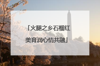 火腿之乡石榴红 美育润心情共融