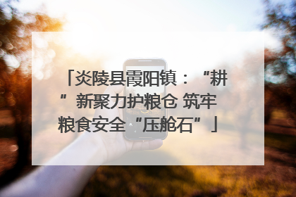 炎陵县霞阳镇：“耕”新聚力护粮仓 筑牢粮食安全“压舱石”