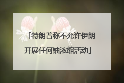特朗普称不允许伊朗开展任何铀浓缩活动