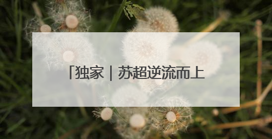 独家｜苏超逆流而上，赞助费飙升至300万，仍一席难求