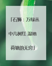 石狮：万绿丛中几树红 湿地荷塘韵无穷