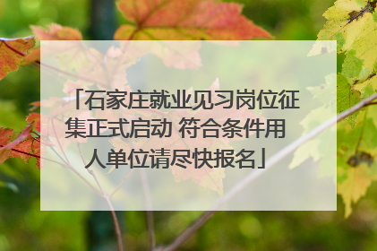 石家庄就业见习岗位征集正式启动 符合条件用人单位请尽快报名
