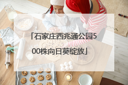 石家庄西兆通公园500株向日葵绽放