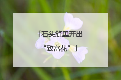 石头缝里开出“致富花”