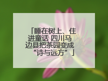 睡在树上、住进童话 四川马边县把茶园变成“诗与远方”