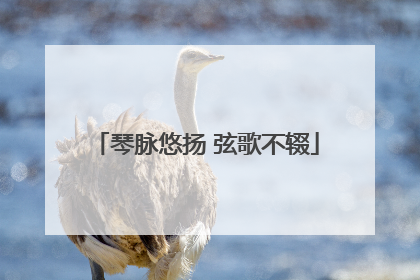 琴脉悠扬 弦歌不辍