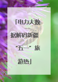 电力大数据解码新疆“五一”旅游热
