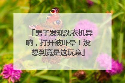 男子发现洗衣机异响，打开被吓晕！没想到竟是这玩意