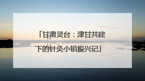 甘肃灵台：津甘共建下的针灸小镇振兴记