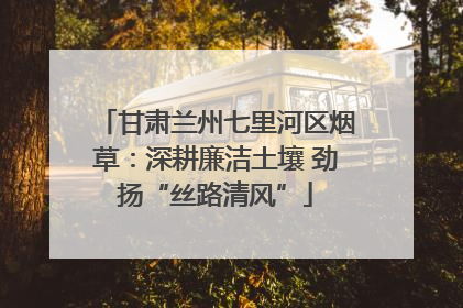 甘肃兰州七里河区烟草：深耕廉洁土壤 劲扬“丝路清风”