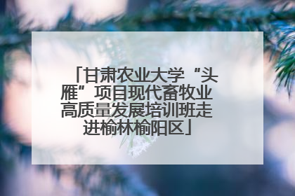 甘肃农业大学“头雁”项目现代畜牧业高质量发展培训班走进榆林榆阳区