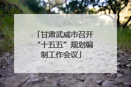 甘肃武威市召开“十五五”规划编制工作会议