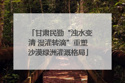 甘肃民勤“浊水变清 漫灌转滴”重塑沙漠绿洲灌溉格局