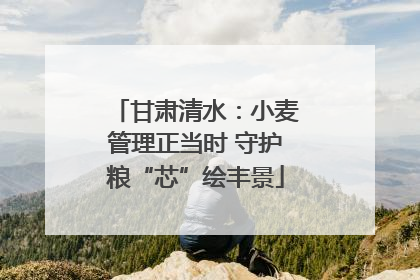 甘肃清水：小麦管理正当时 守护粮“芯”绘丰景