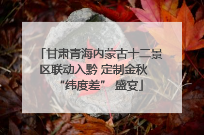 甘肃青海内蒙古十二景区联动入黔 定制金秋 “纬度差” 盛宴