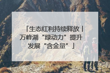 生态红利持续释放丨万峰湖“绿动力”提升发展“含金量”