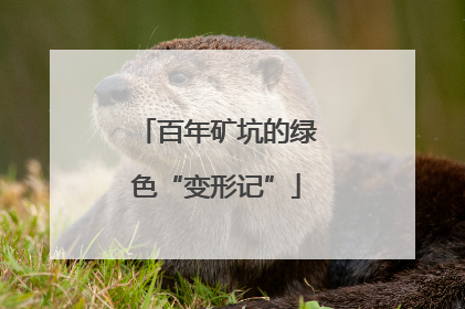百年矿坑的绿色“变形记”