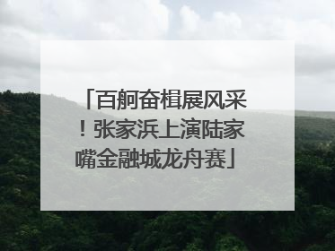 百舸奋楫展风采！张家浜上演陆家嘴金融城龙舟赛