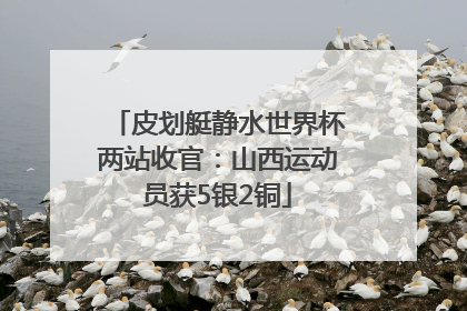 皮划艇静水世界杯两站收官：山西运动员获5银2铜