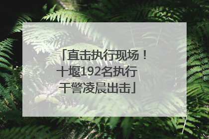 直击执行现场！十堰192名执行干警凌晨出击