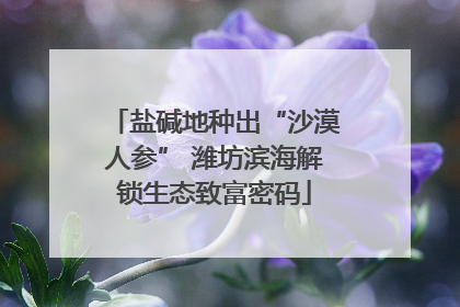 盐碱地种出“沙漠人参” 潍坊滨海解锁生态致富密码