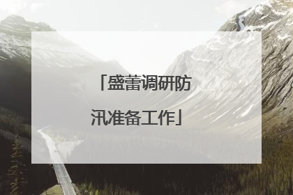 盛蕾调研防汛准备工作