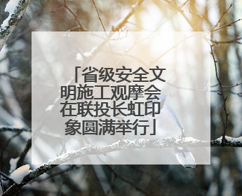 省级安全文明施工观摩会在联投长虹印象圆满举行