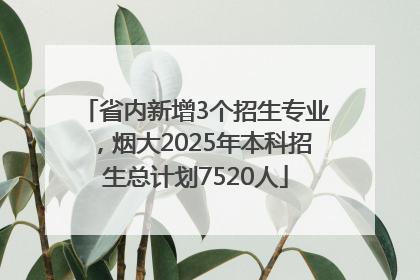 省内新增3个招生专业，烟大2025年本科招生总计划7520人