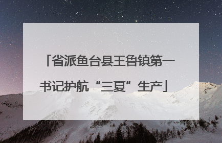 省派鱼台县王鲁镇第一书记护航“三夏”生产