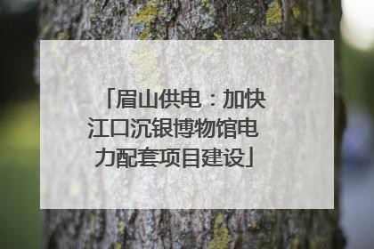 眉山供电：加快江口沉银博物馆电力配套项目建设