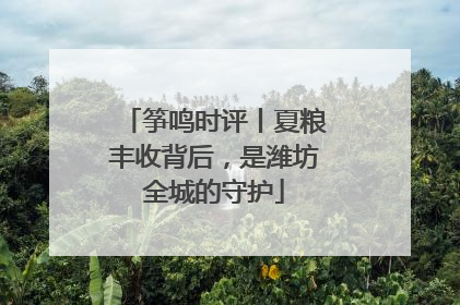 筝鸣时评丨夏粮丰收背后，是潍坊全城的守护