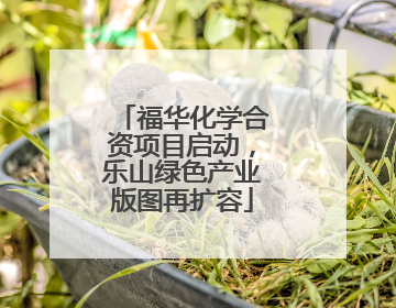 福华化学合资项目启动，乐山绿色产业版图再扩容