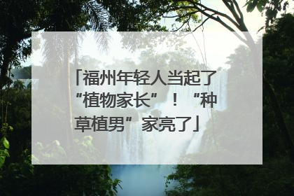 福州年轻人当起了“植物家长”！“种草植男”家亮了