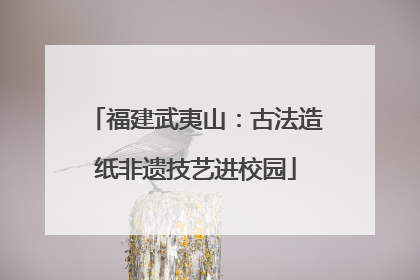 福建武夷山：古法造纸非遗技艺进校园