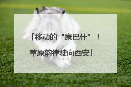 移动的“康巴什”！草原韵律驶向西安