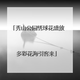 秀山公园绣球花盛放 多彩花海引客来