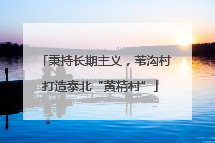 秉持长期主义，苇沟村打造泰北“黄精村”