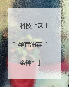 科技“沃土”孕育油菜“金种”
