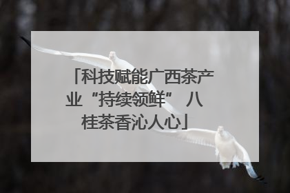 科技赋能广西茶产业“持续领鲜” 八桂茶香沁人心