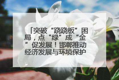突破“跷跷板”困局，点“绿”成“金”促发展！邯郸推动经济发展与环境保护互促共赢