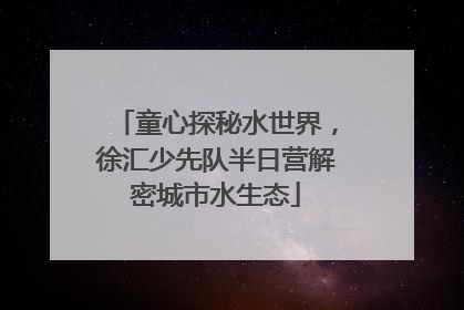 童心探秘水世界，徐汇少先队半日营解密城市水生态