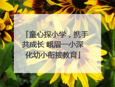 童心探小学，携手共成长 峨眉一小深化幼小衔接教育
