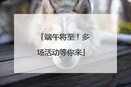 端午将至！多场活动等你来
