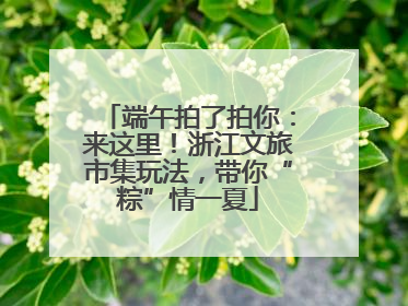端午拍了拍你：来这里！浙江文旅市集玩法，带你“粽”情一夏