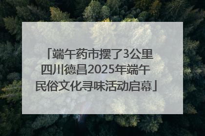 端午药市摆了3公里 四川德昌2025年端午民俗文化寻味活动启幕