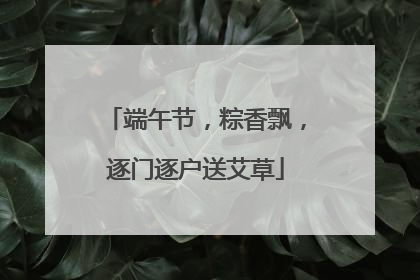 端午节，粽香飘，逐门逐户送艾草