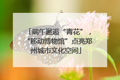 端午邂逅“青花”，“移动博物馆”点亮郑州城市文化空间