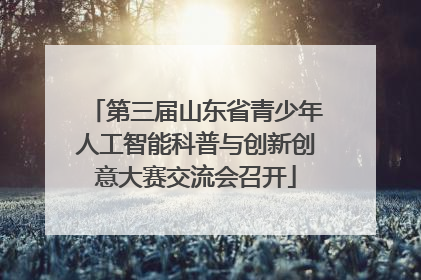 第三届山东省青少年人工智能科普与创新创意大赛交流会召开
