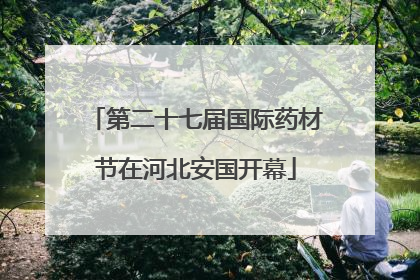 第二十七届国际药材节在河北安国开幕